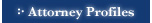 Attorney Profiles